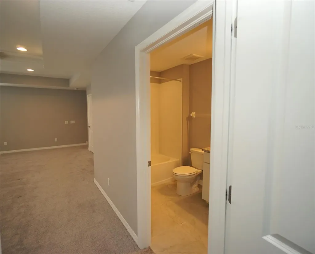 19460 Blossom Vine Lane Lutz FL 33558