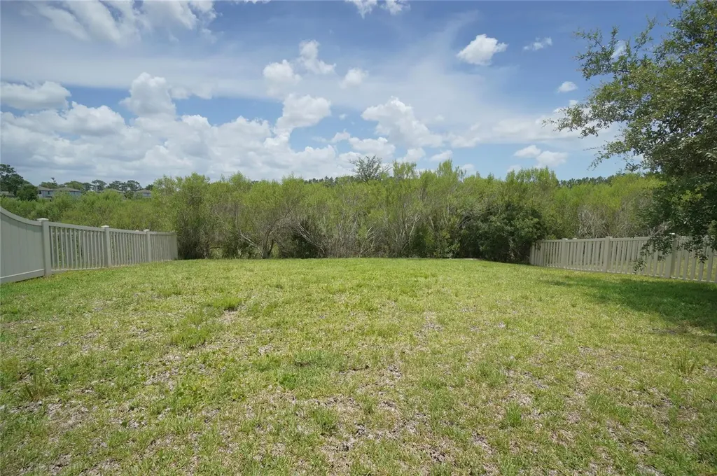 19460 Blossom Vine Lane Lutz FL 33558