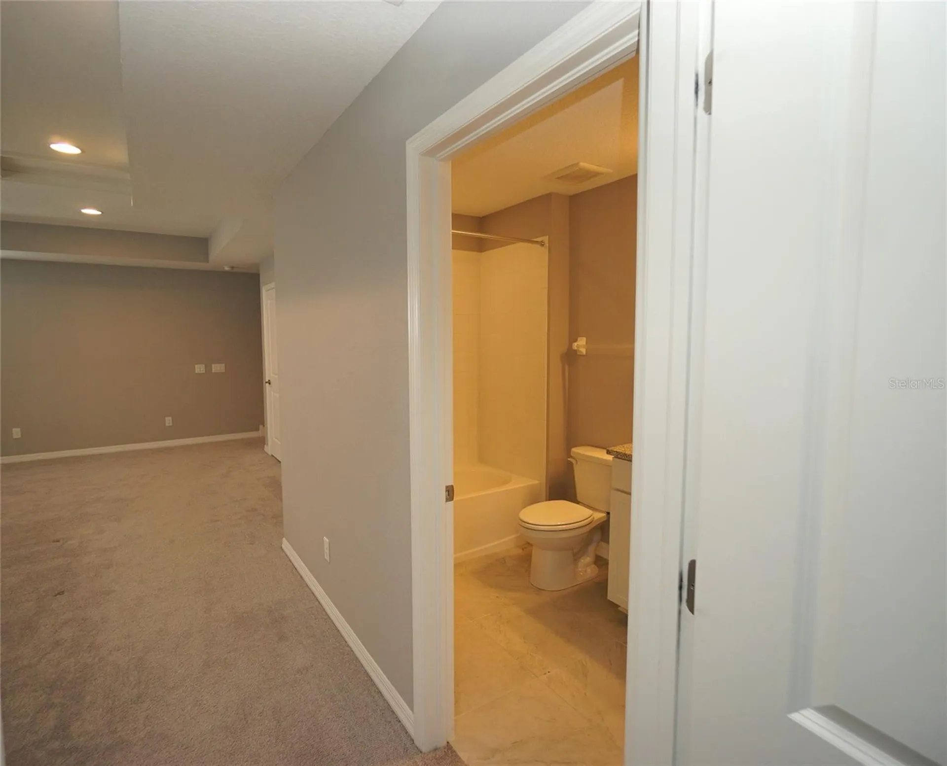 19460 Blossom Vine Lane Lutz FL 33558