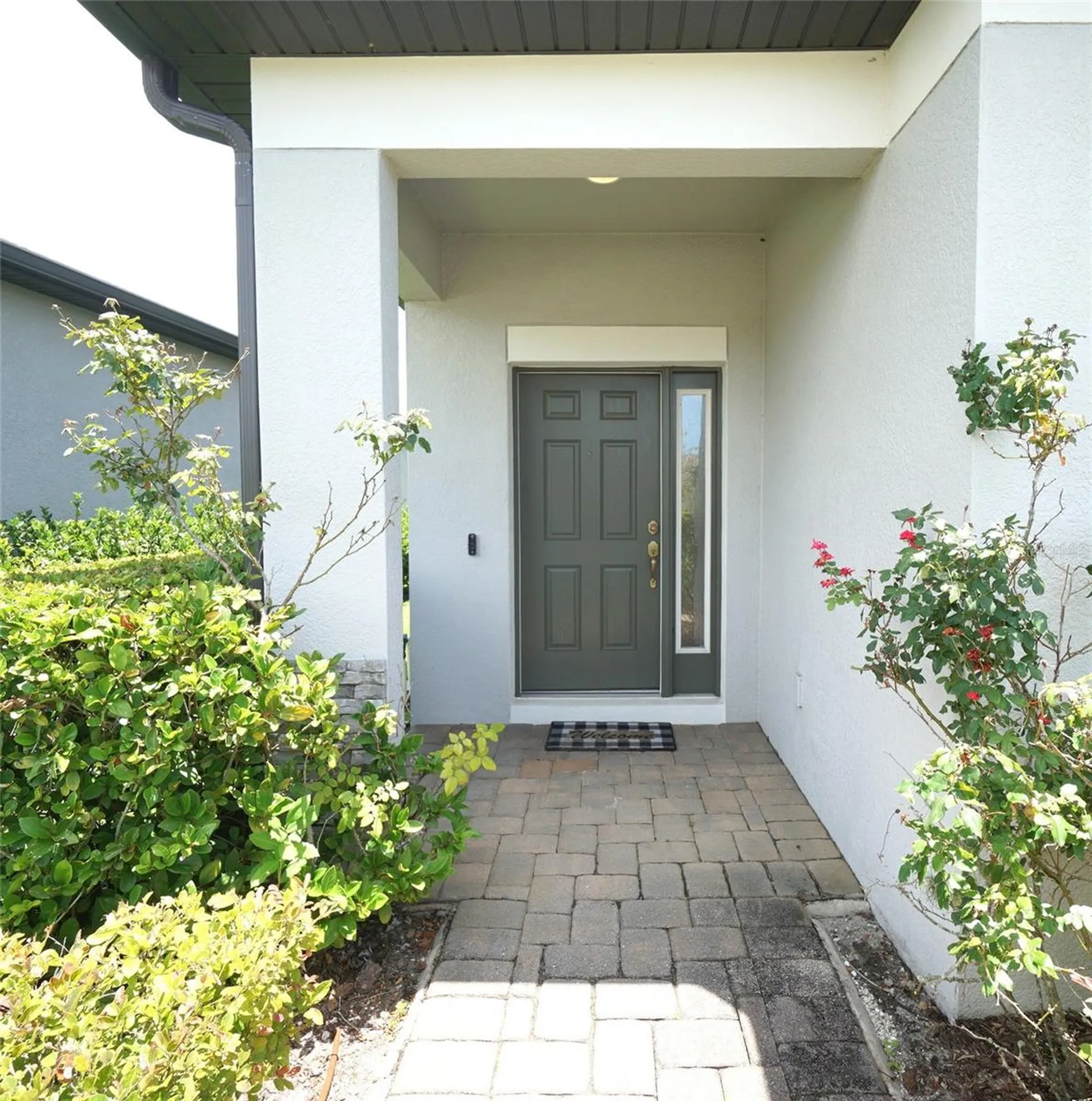19460 Blossom Vine Lane Lutz FL 33558