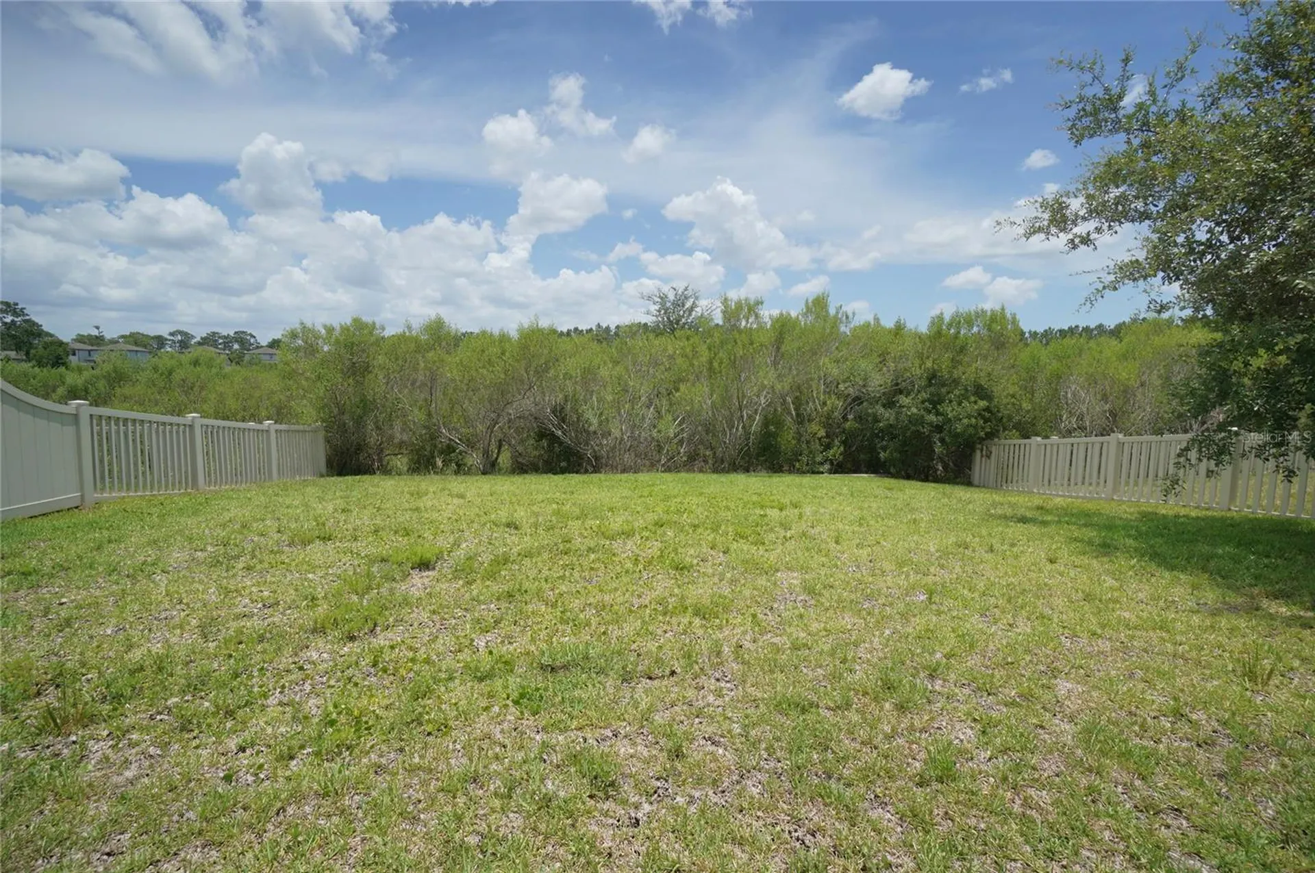 19460 Blossom Vine Lane Lutz FL 33558