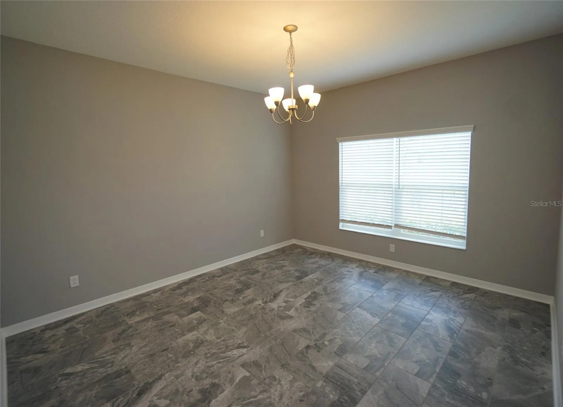 19460 Blossom Vine Lane Lutz FL 33558