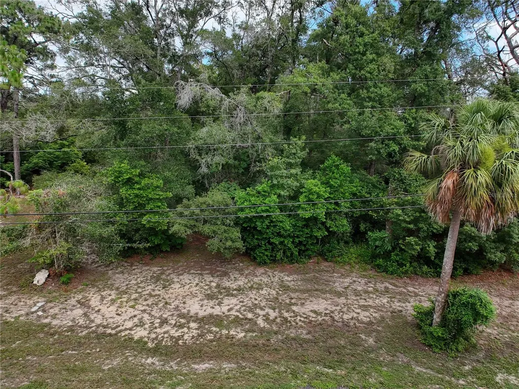 0 Fort Dade Avenue Brooksville FL 34601