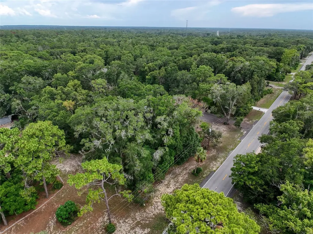 0 Fort Dade Avenue Brooksville FL 34601