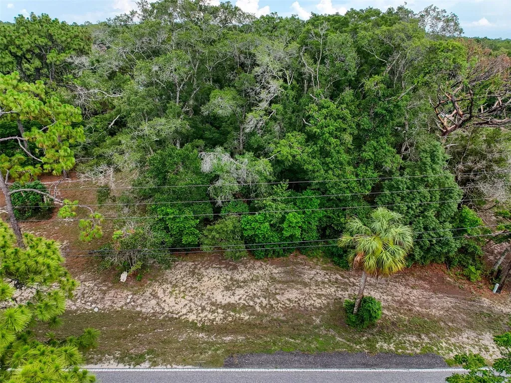 0 Fort Dade Avenue Brooksville FL 34601