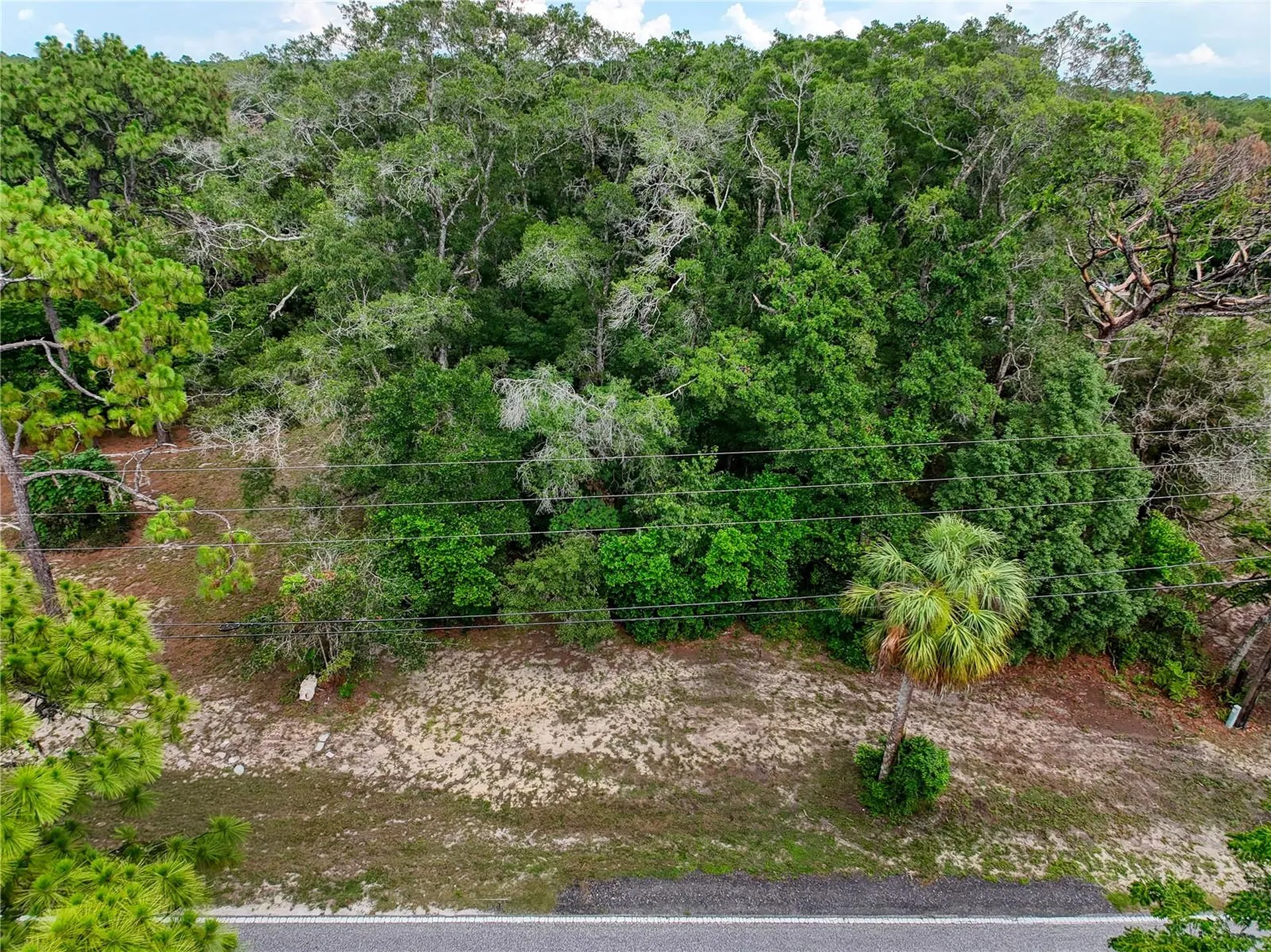 0 Fort Dade Avenue Brooksville FL 34601