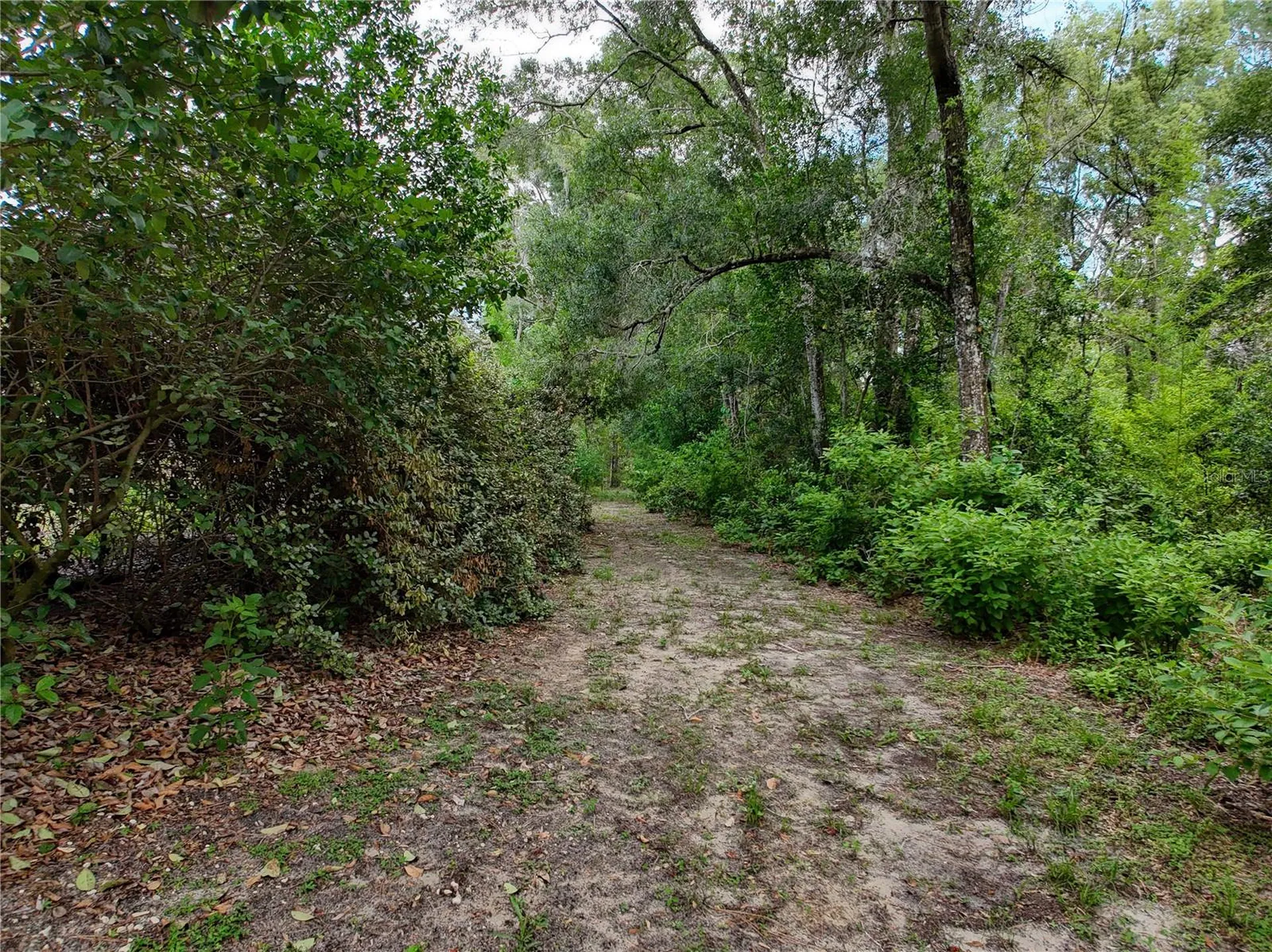 0 Fort Dade Avenue Brooksville FL 34601