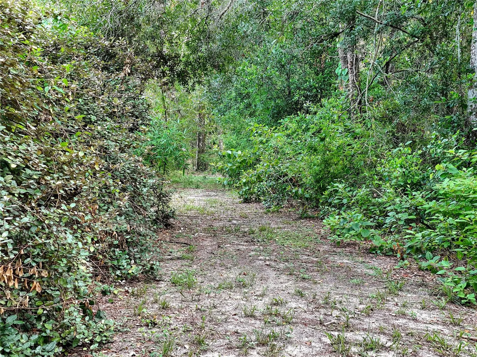 0 Fort Dade Avenue Brooksville FL 34601