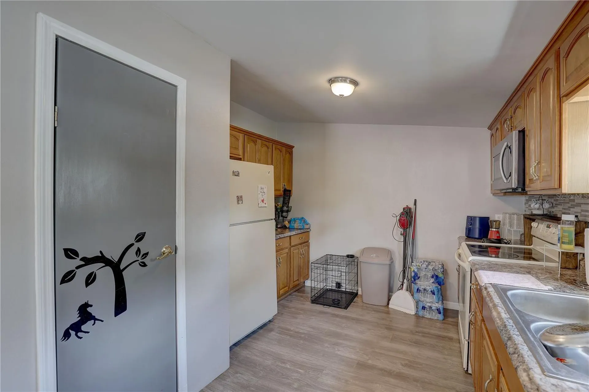 9501 Estelle Street New Port Richey FL 34654