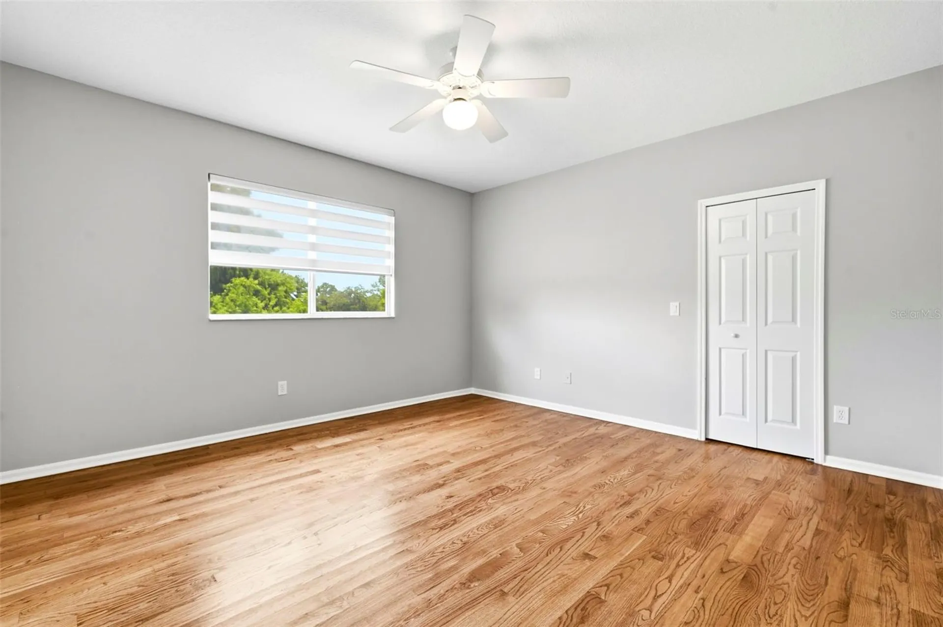 3530 Valencia Cove Court Land O Lakes FL 34639