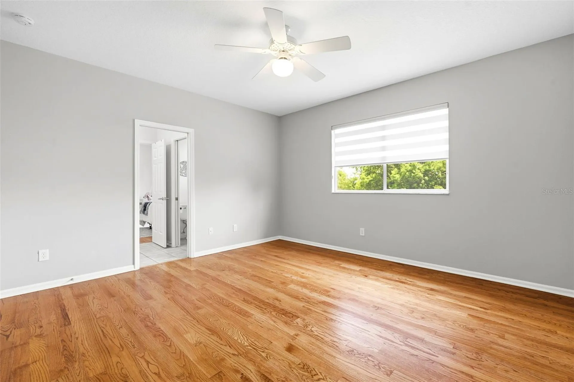 3530 Valencia Cove Court Land O Lakes FL 34639