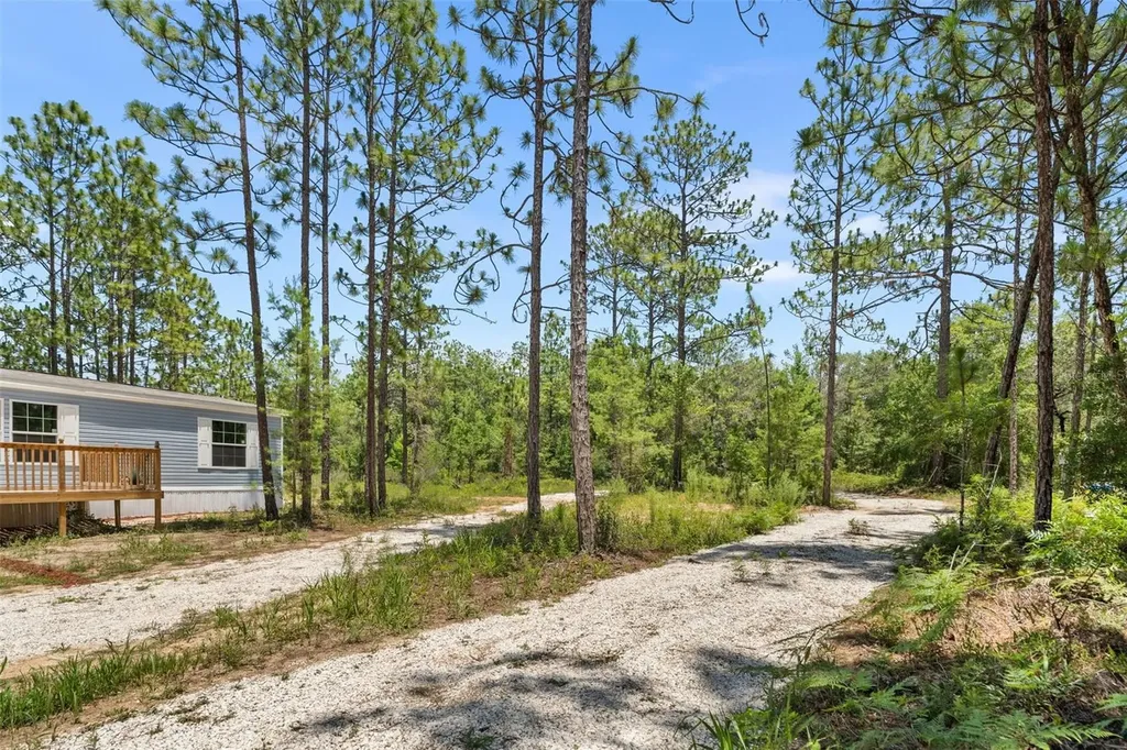 419 Lily Trail Interlachen FL 32148