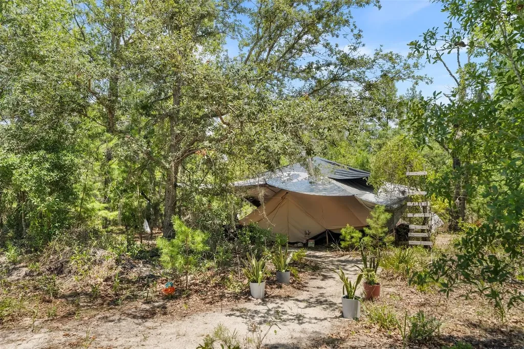 419 Lily Trail Interlachen FL 32148