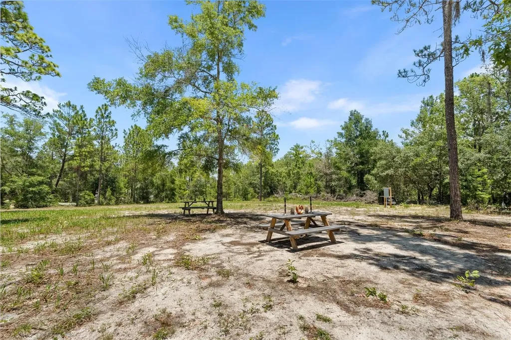 419 Lily Trail Interlachen FL 32148