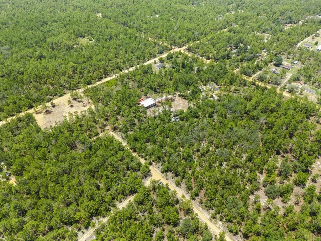 419 Lily Trail Interlachen FL 32148