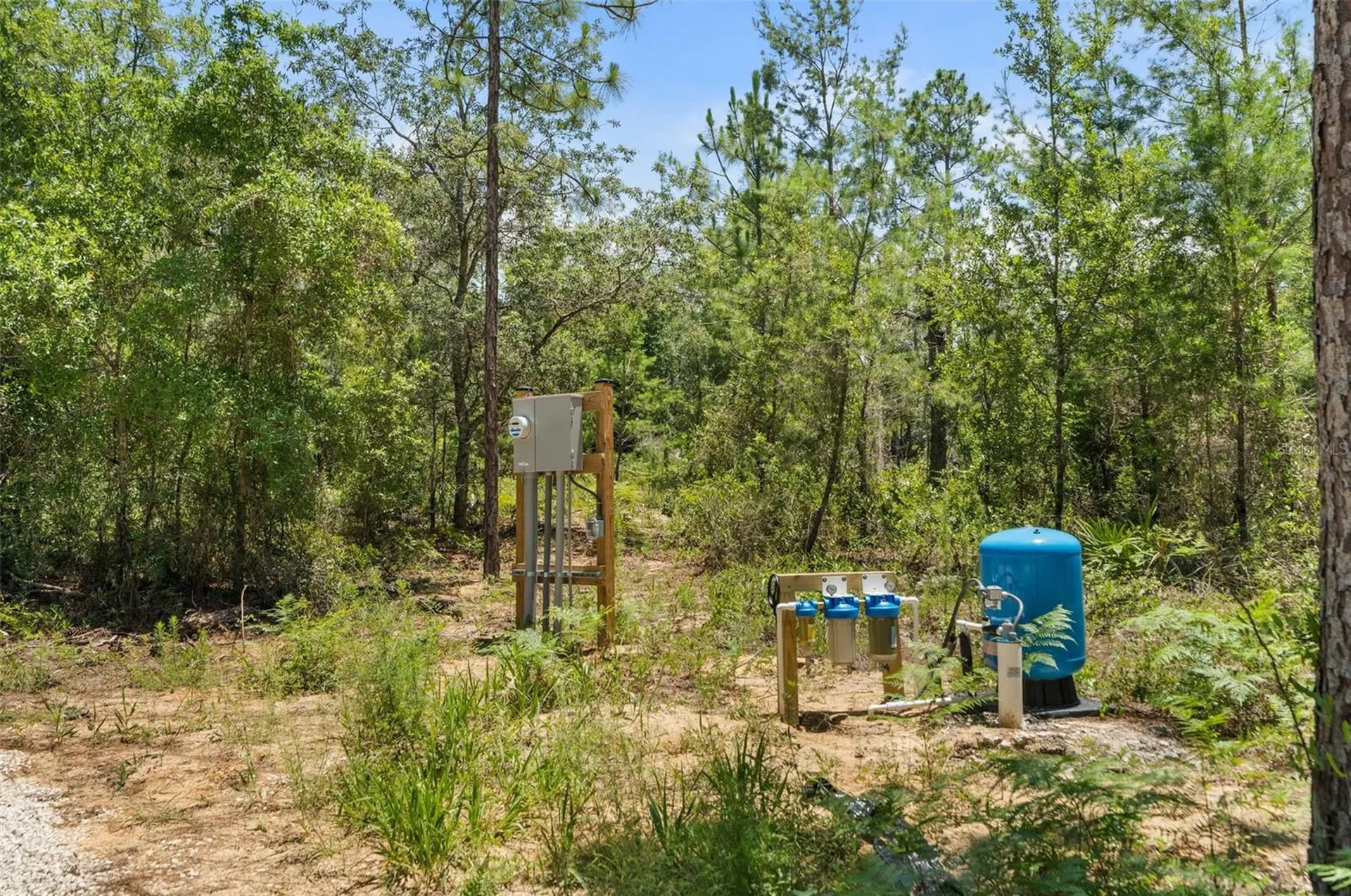 419 Lily Trail Interlachen FL 32148