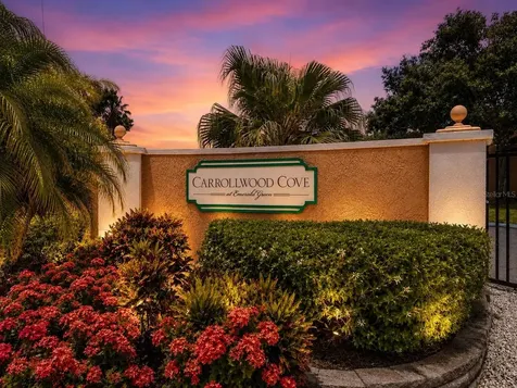 14623 Par Club Circle Tampa FL 33618