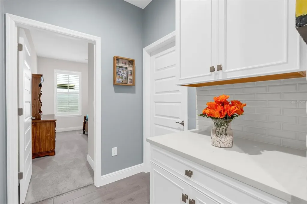 11043 Jackson Cove Winter Garden FL 34787