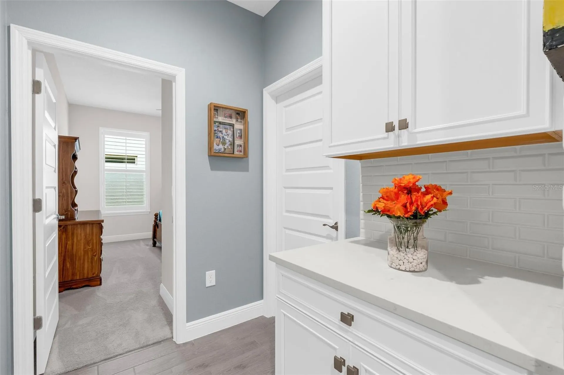 11043 Jackson Cove Winter Garden FL 34787