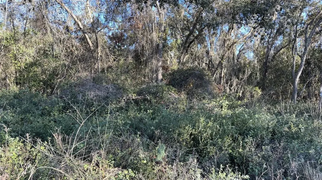 0 Bounty/barrett New Port Richey FL 34654