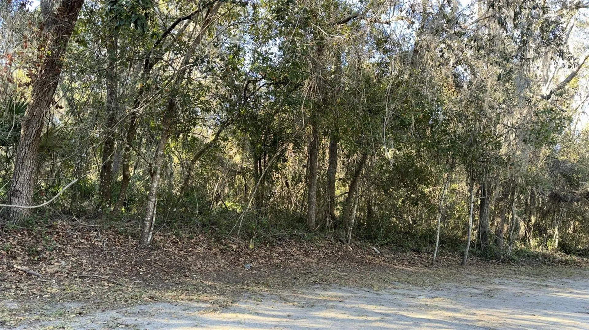 0 Bounty/barrett New Port Richey FL 34654