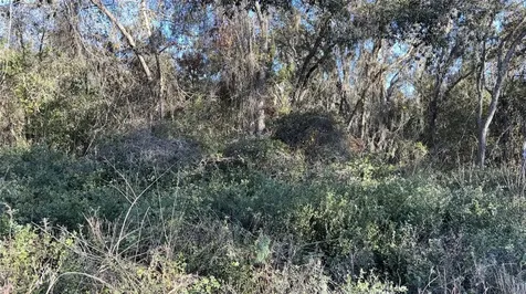 0 Bounty/barrett New Port Richey FL 34654