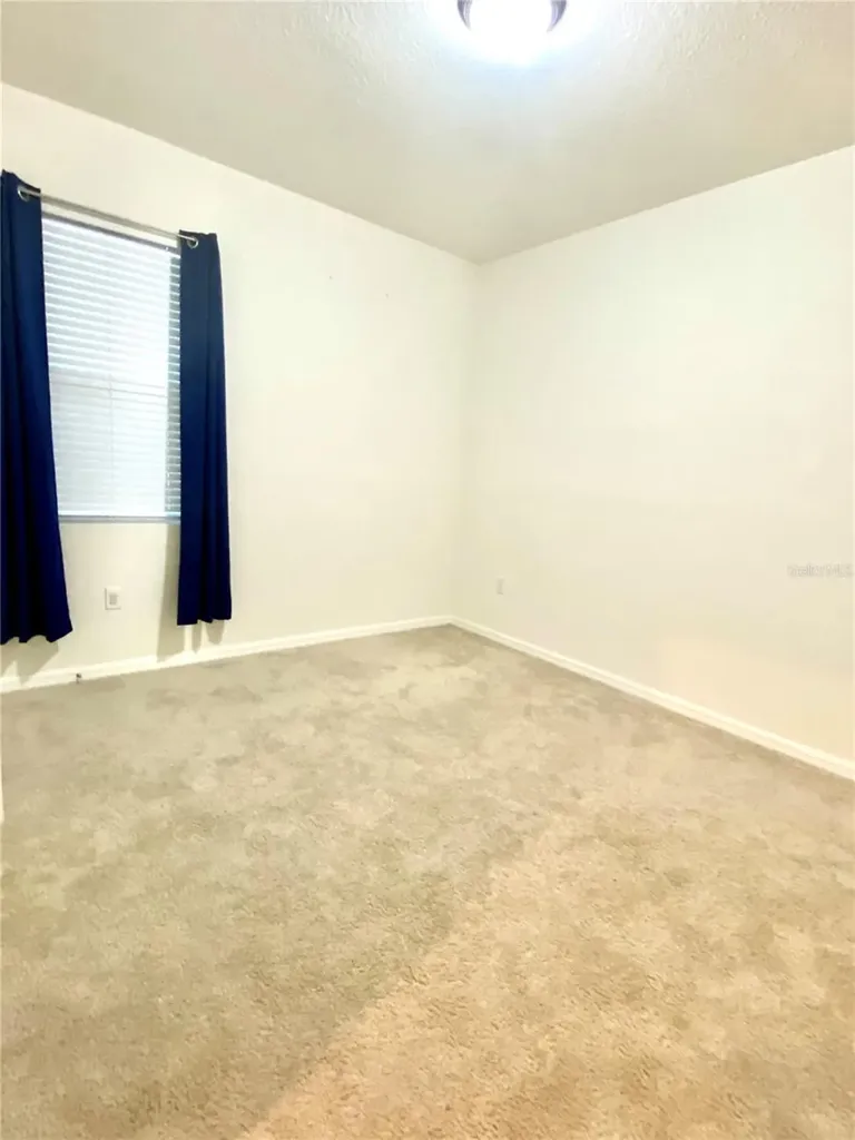 31882 Tansy Bend Wesley Chapel FL 33545