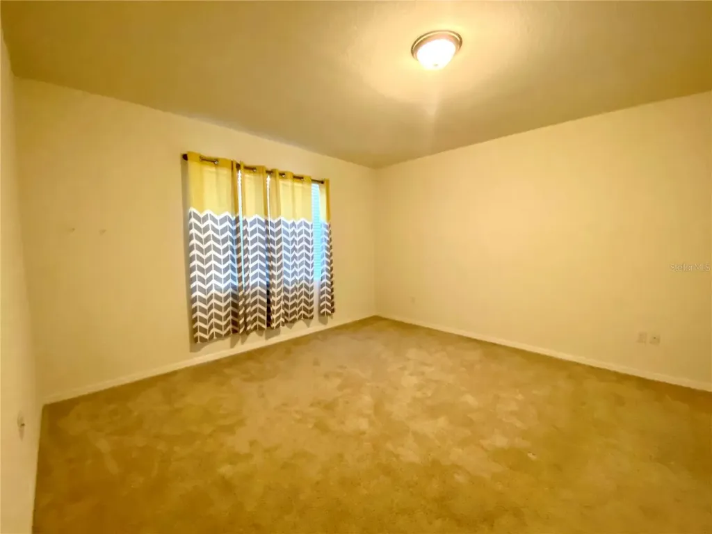 31882 Tansy Bend Wesley Chapel FL 33545