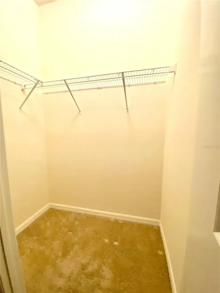 31882 Tansy Bend Wesley Chapel FL 33545