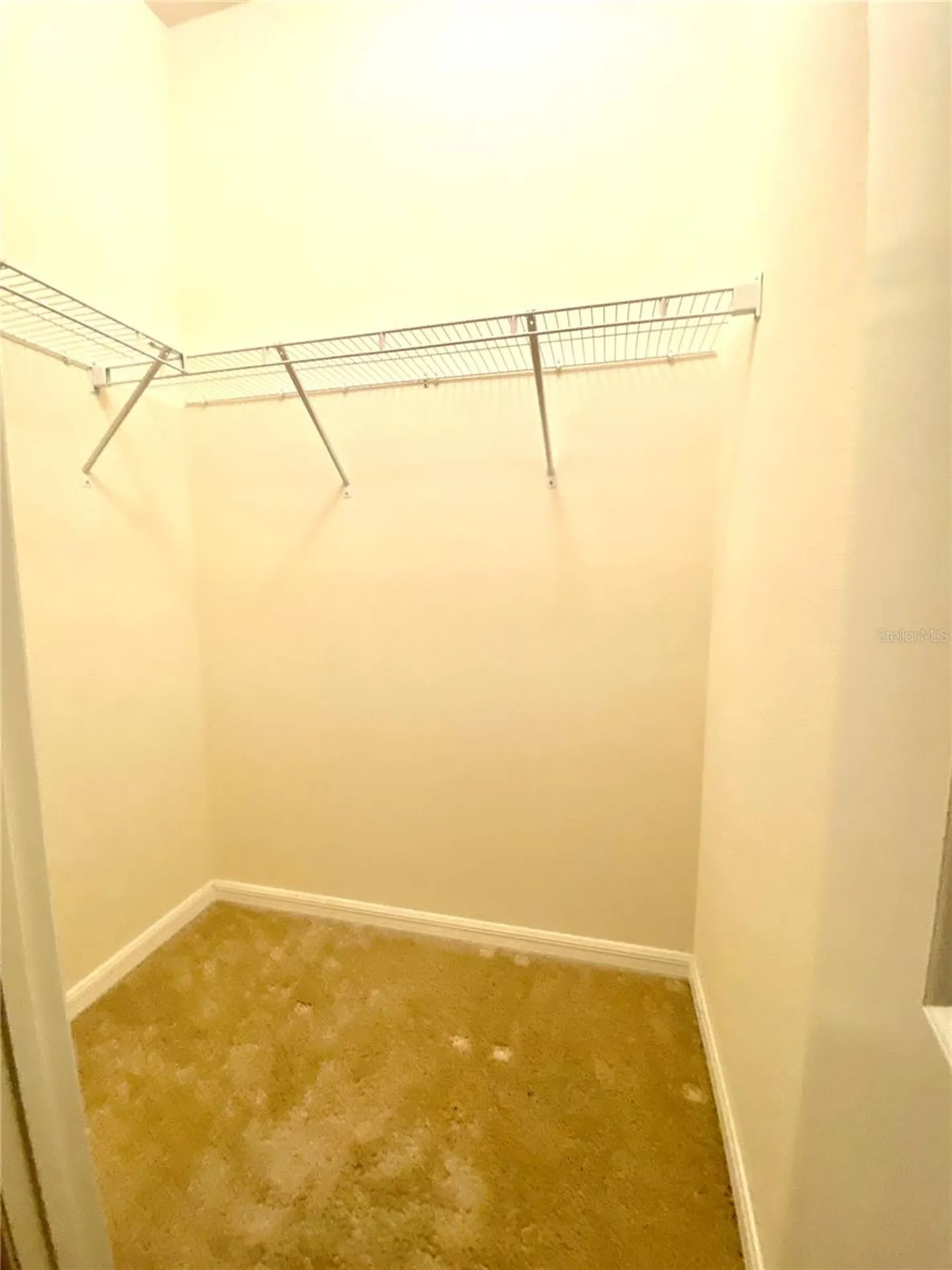 31882 Tansy Bend Wesley Chapel FL 33545