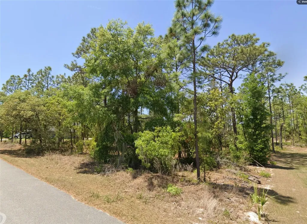 Tbd Lot 25 Oak Lane Circle Ocala FL 34472