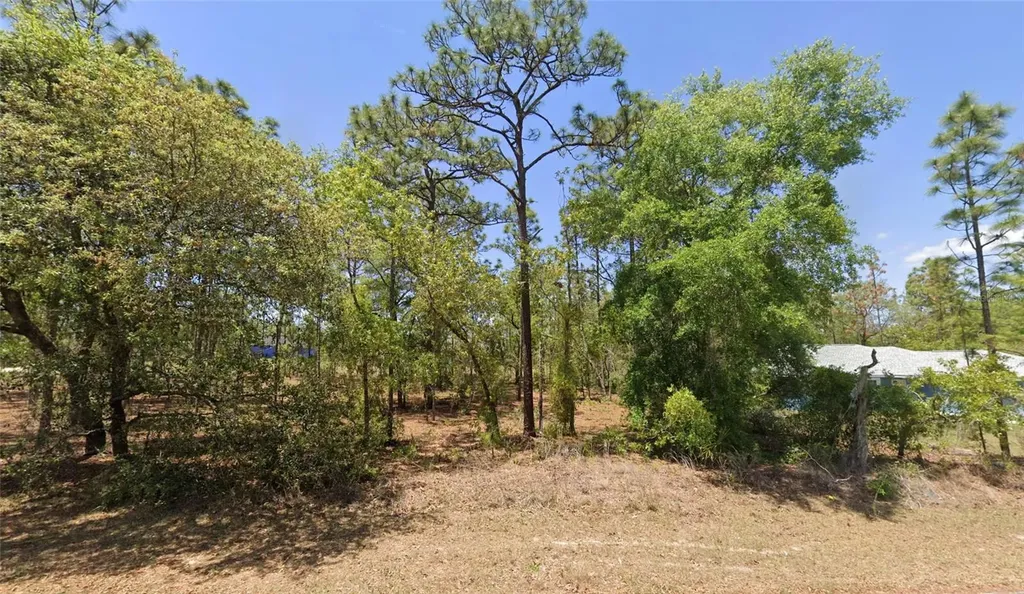 Tbd Lot 25 Oak Lane Circle Ocala FL 34472