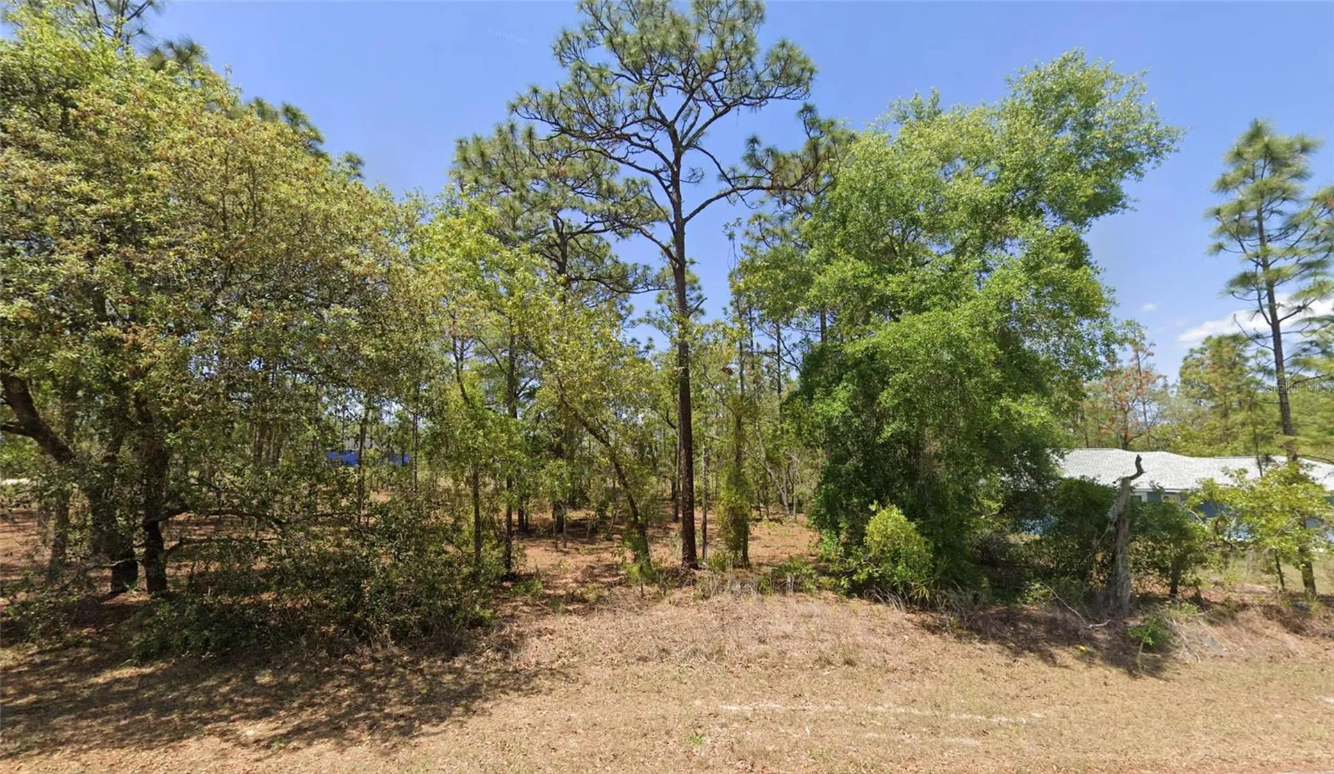 Tbd Lot 25 Oak Lane Circle Ocala FL 34472