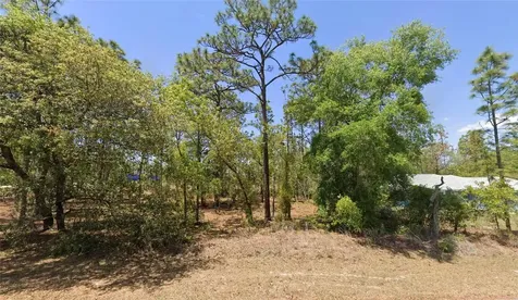 Tbd Lot 25 Oak Lane Circle Ocala FL 34472