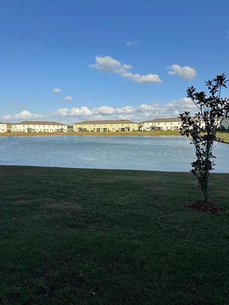 10308 Lavender Aster Trail San Antonio FL 33576
