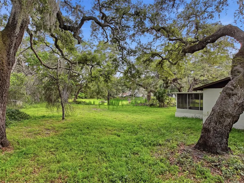 34696 Orchid Parkway Dade City FL 33523