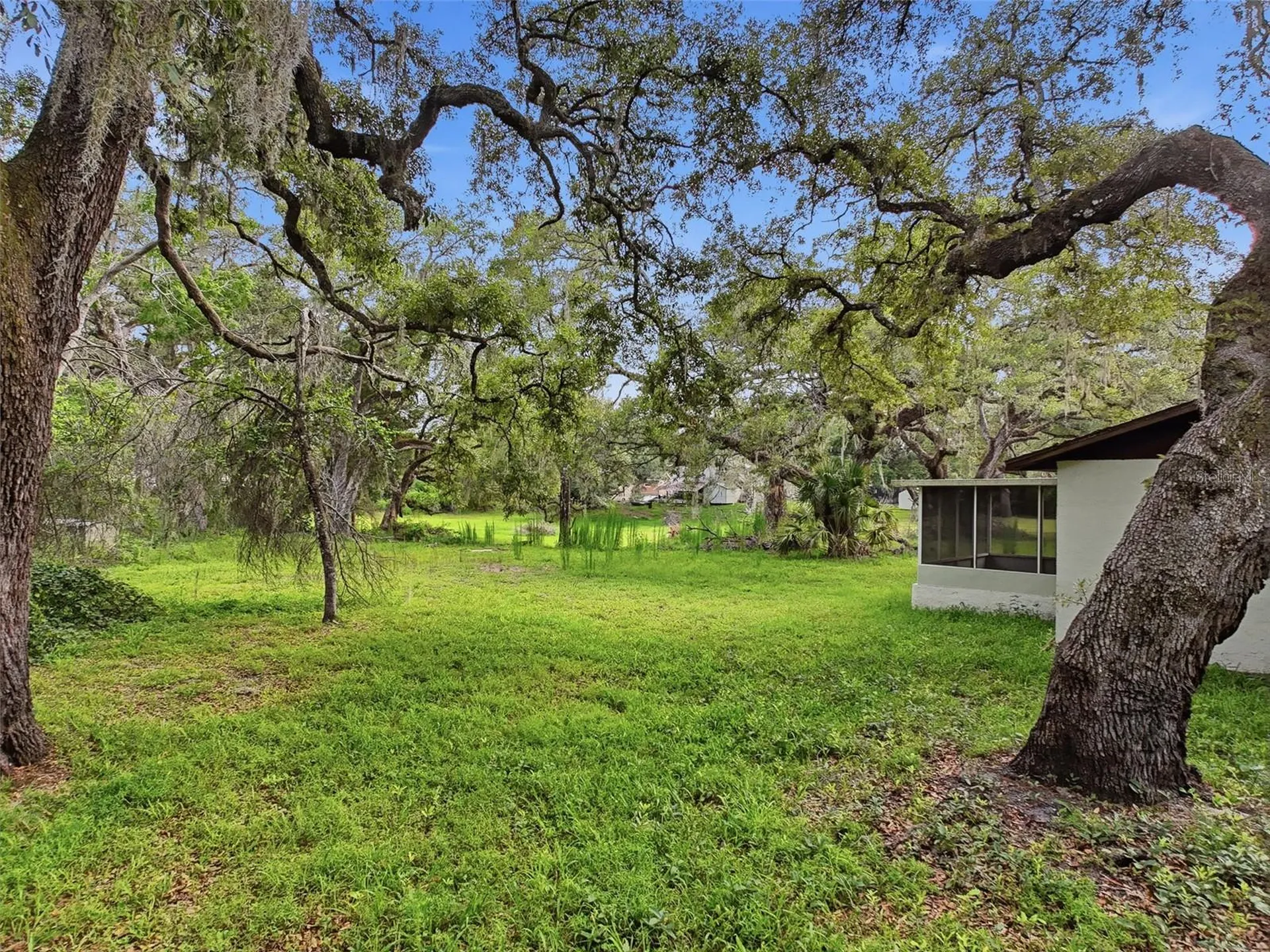 34696 Orchid Parkway Dade City FL 33523