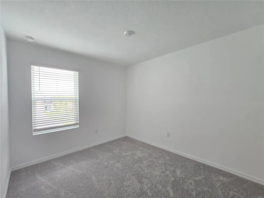 2073 Hallier Cove Wesley Chapel FL 33543