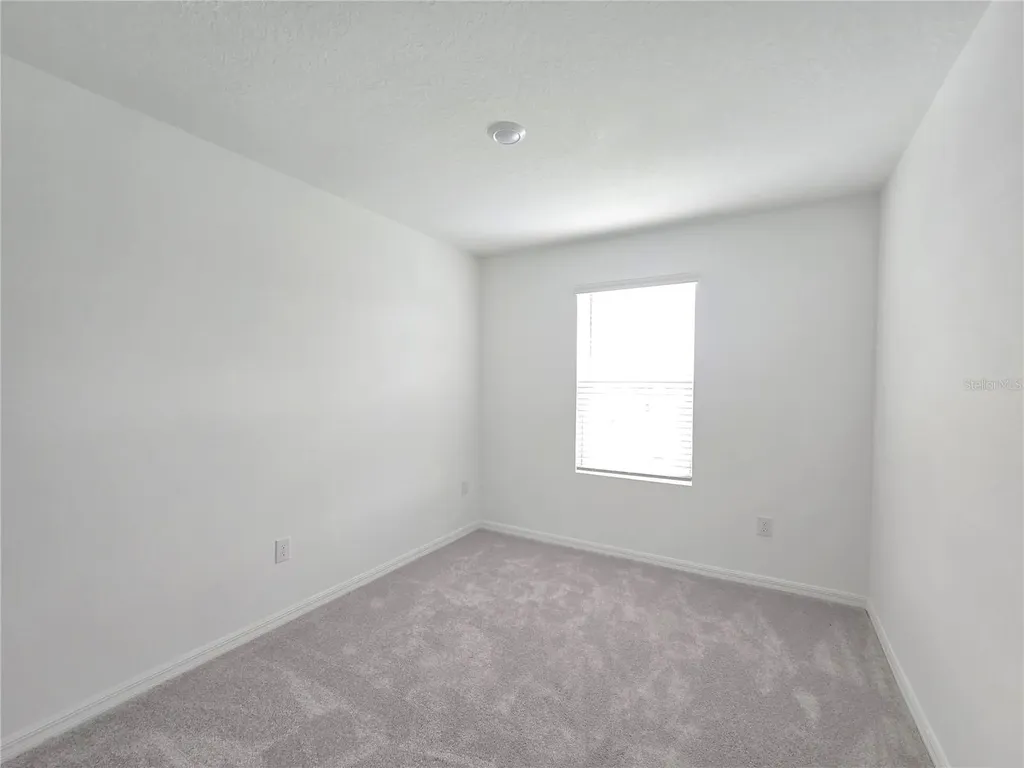 2073 Hallier Cove Wesley Chapel FL 33543