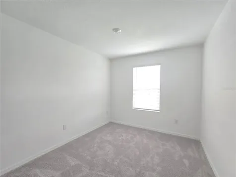 2073 Hallier Cove Wesley Chapel FL 33543