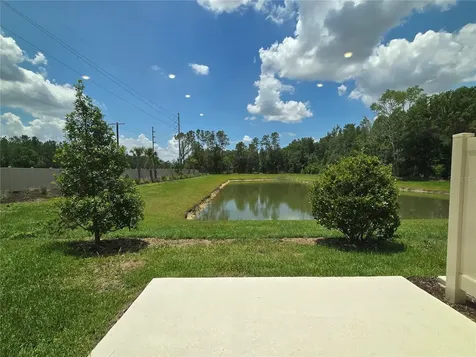 2073 Hallier Cove Wesley Chapel FL 33543