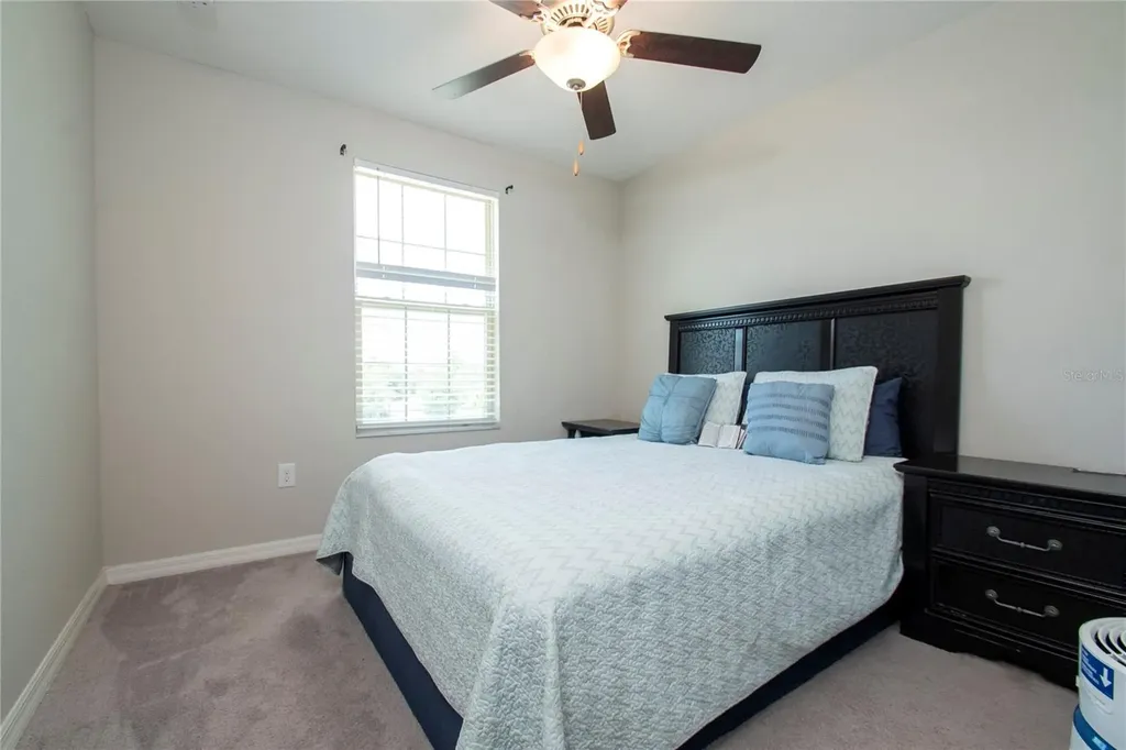 10202 Cool Waterlily Avenue Riverview FL 33578
