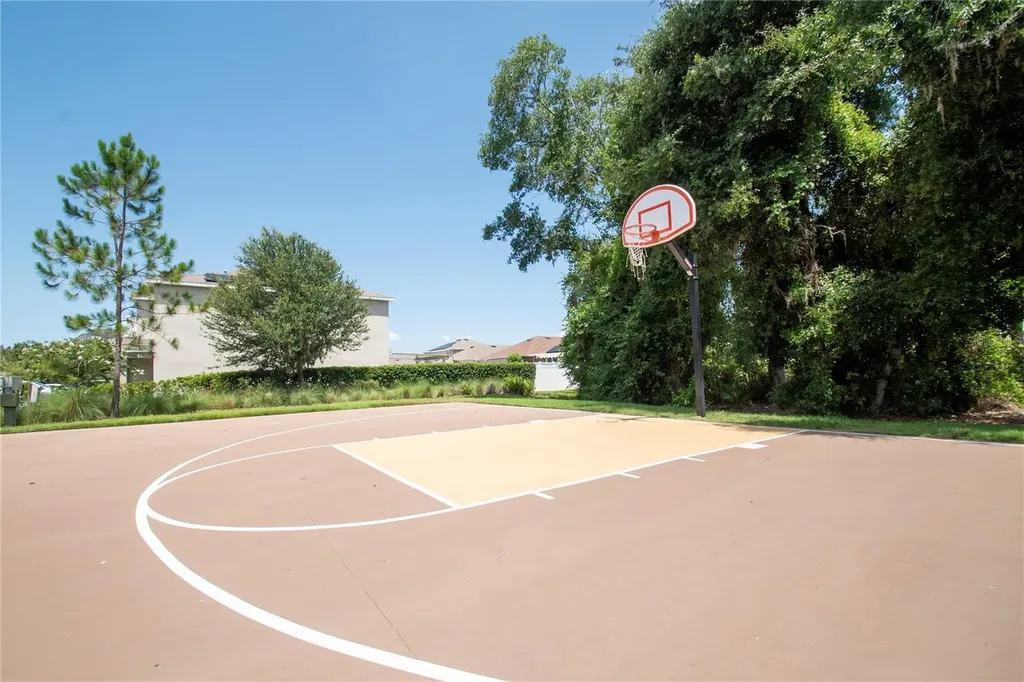 10202 Cool Waterlily Avenue Riverview FL 33578