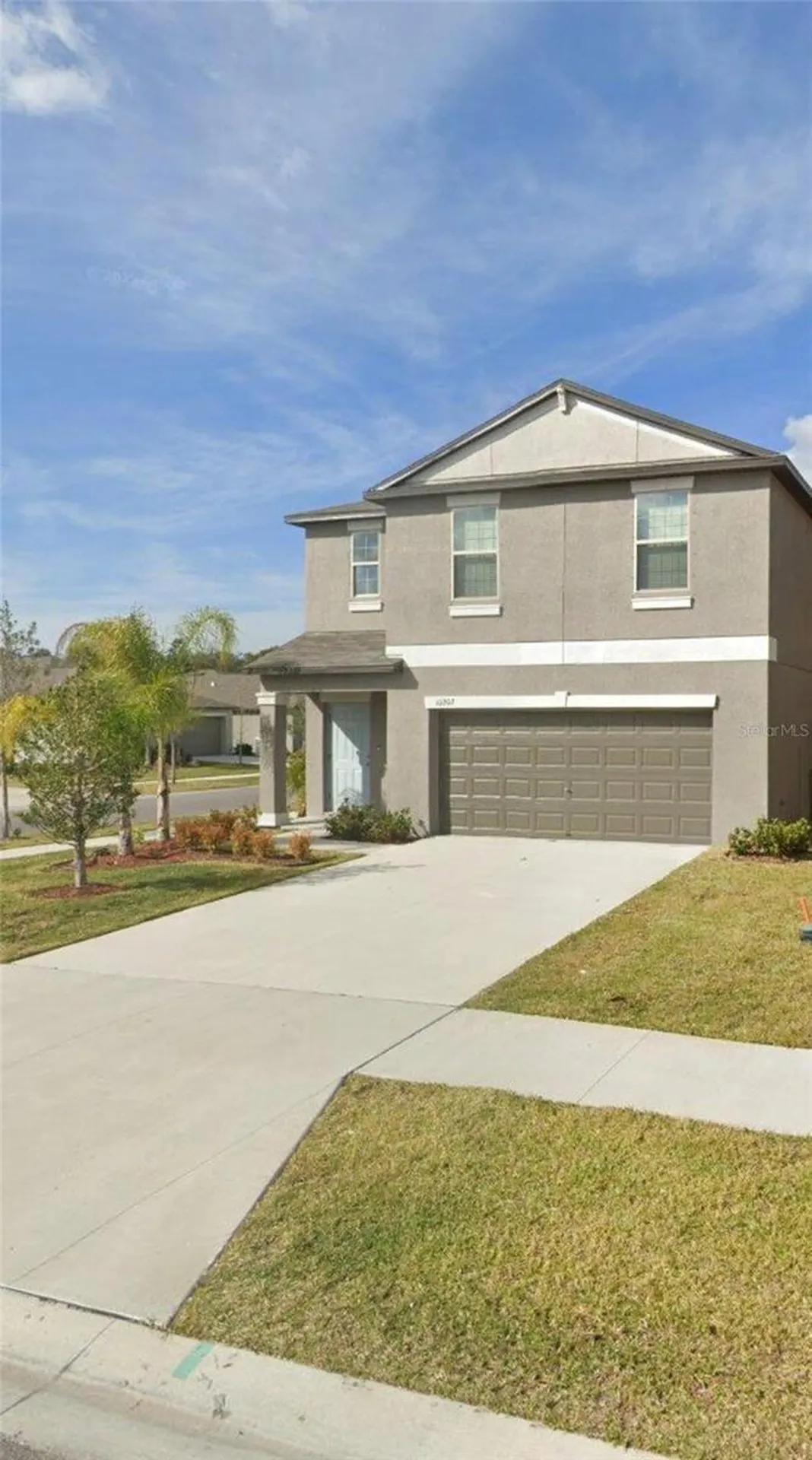 10202 Cool Waterlily Avenue Riverview FL 33578