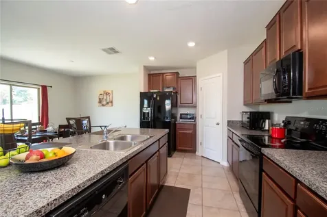 10202 Cool Waterlily Avenue Riverview FL 33578