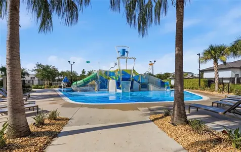 8954 Fluffy Lie Court Davenport FL 33896