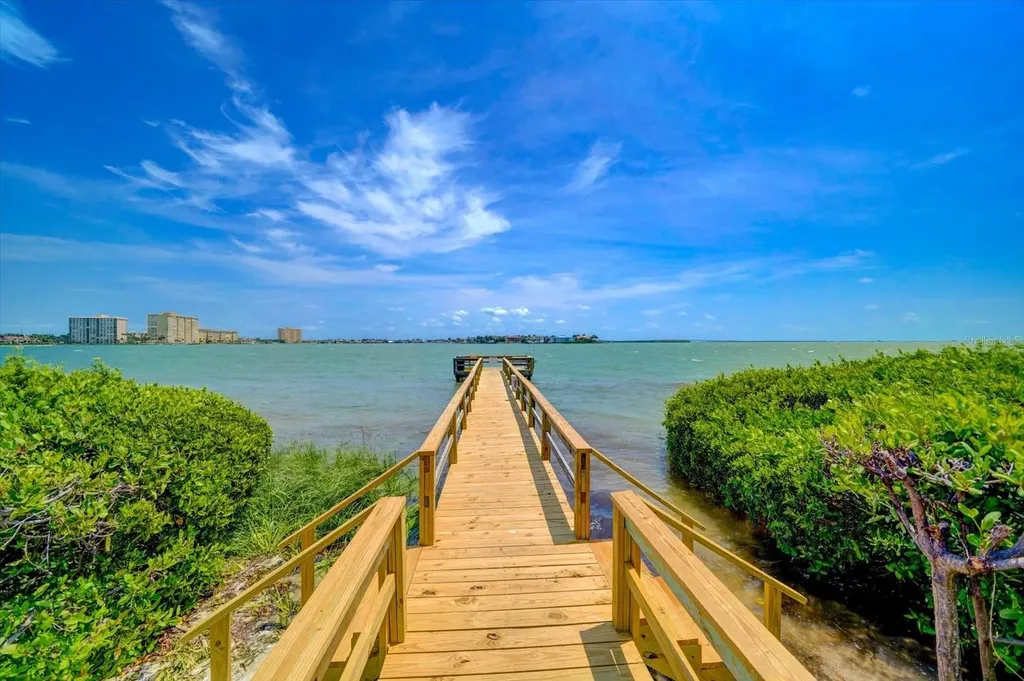 6219 Palma Del Mar Boulevard S St Petersburg FL 33715
