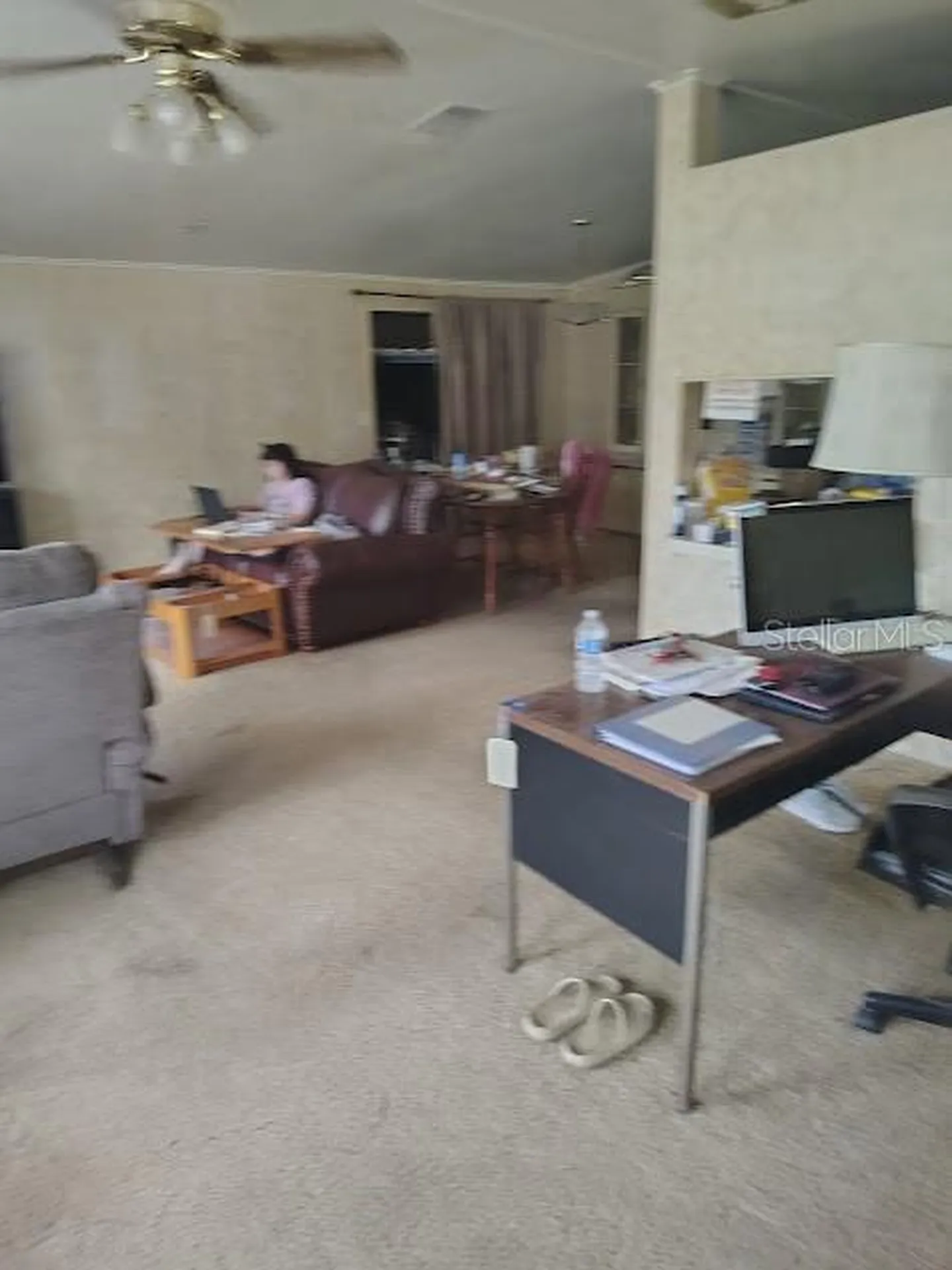 38553 Alston Avenue Zephyrhills FL 33542