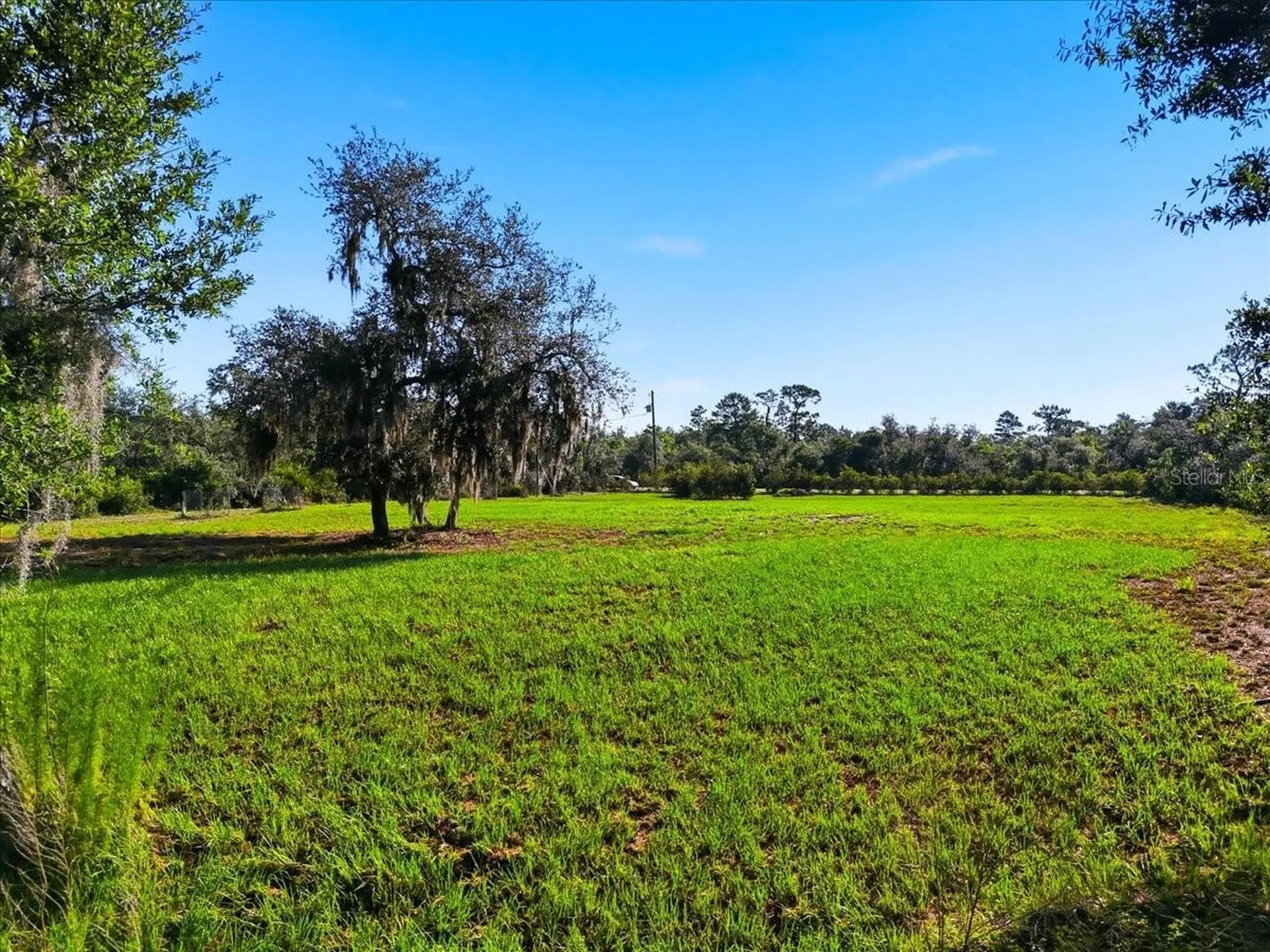 Deer Road Frostproof FL 33843