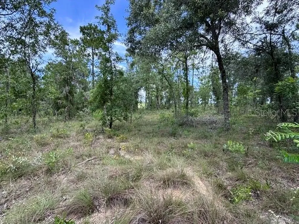SE 16 Lane Morriston FL 32668
